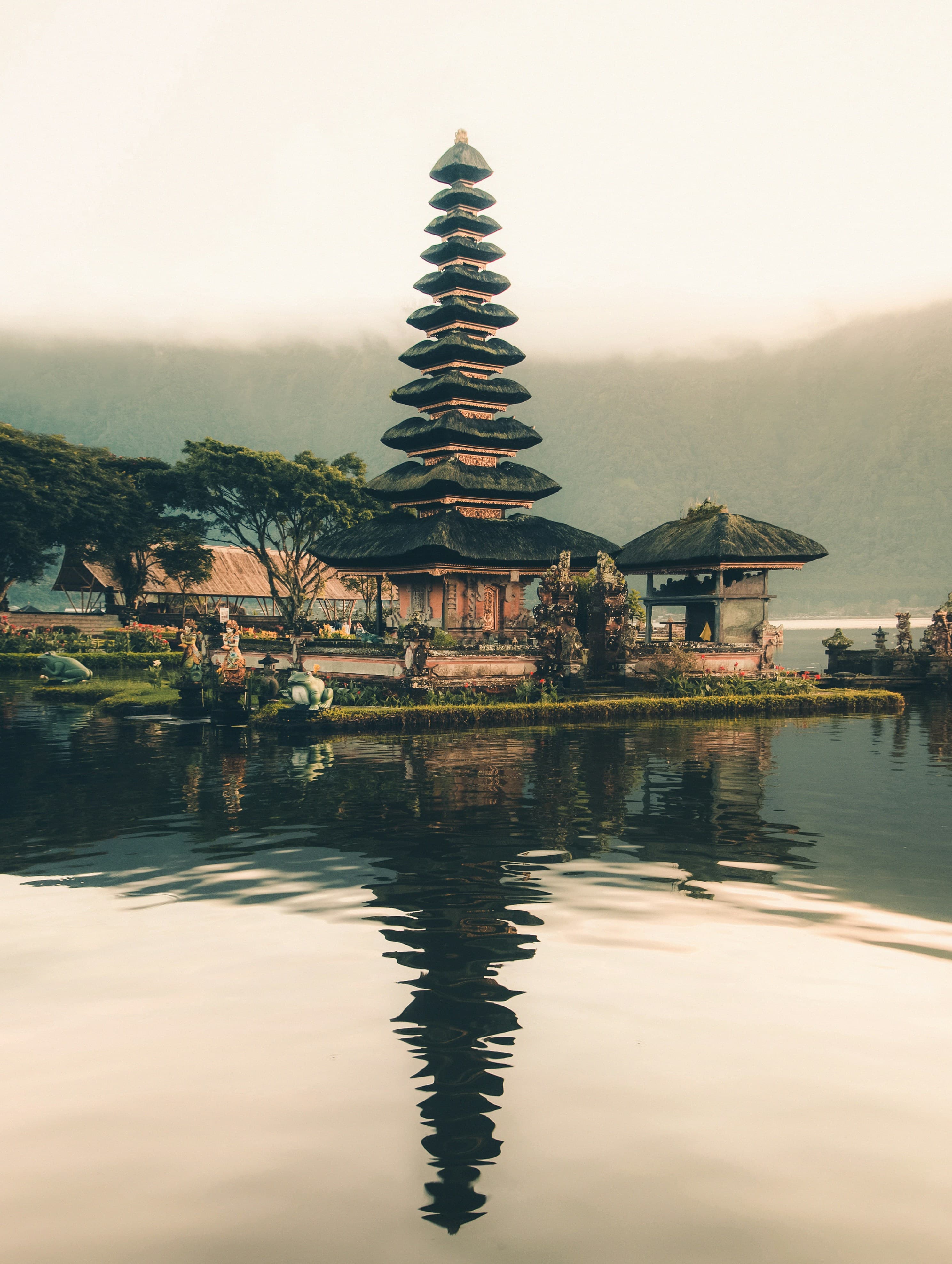A lush green landscape in Bali